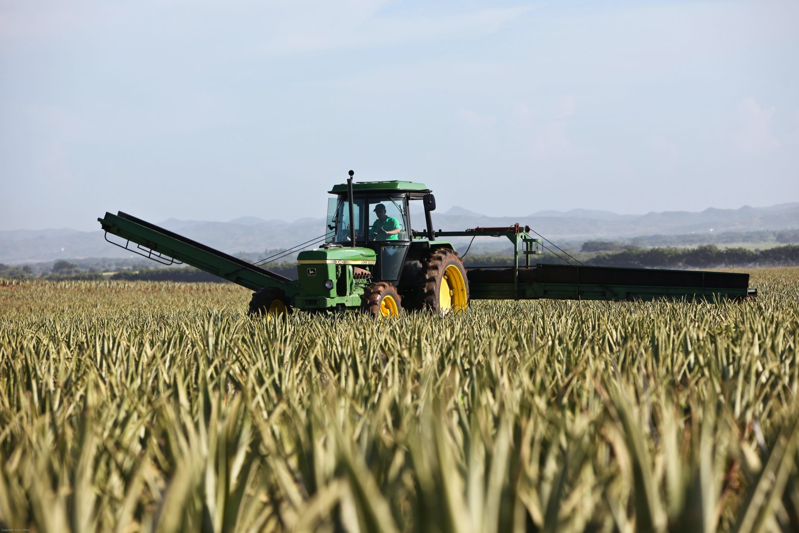 Mezzi agricoli e macchine operatrici
